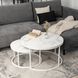 Комплект журнальних столів MEBEL ELITE JOE MAX Marmur 2 шт 80*80 см Білий